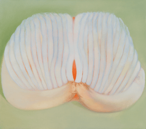 AspenArtCrush2025_MS_51_Twin Shell_1 front_resized_cropped