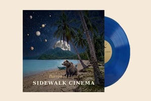 Pro Plan Demo Auctions - Sidewalk Cinema