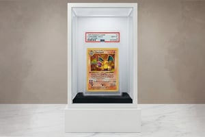 Pro-Plan Demo Images - Charizard