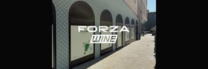 Demo Auction Banners - Forza Wine